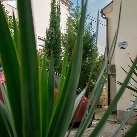 Lejlighed Superior Rubun Portorož